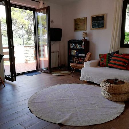 Apartments Vila Marija Grebaštica Екстериор снимка